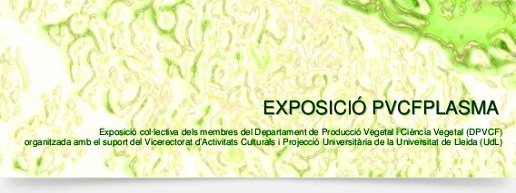 Exposició PVCPLASMA a la UdL