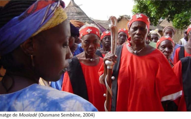 Seminari: Mutilacions genitals femenines. Un dilema sanitari i intercultural que ens arriba de l'Àfrica