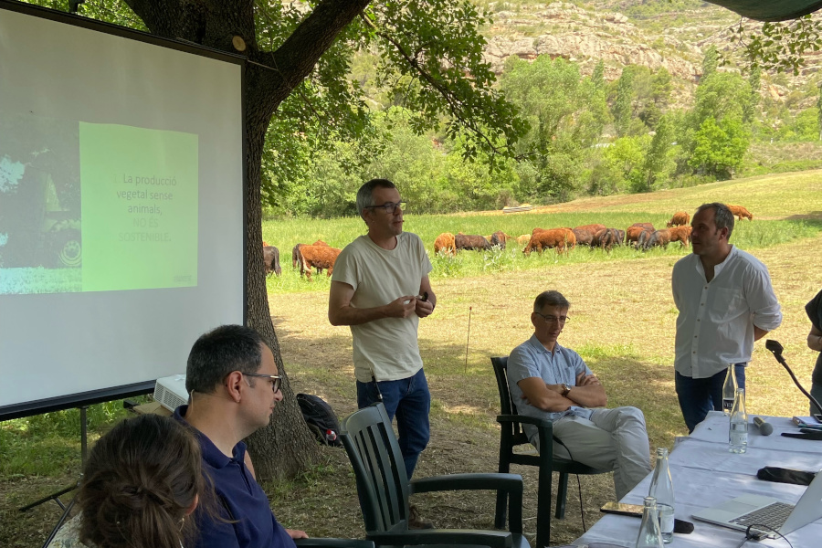 jornada vacum jornada vacum