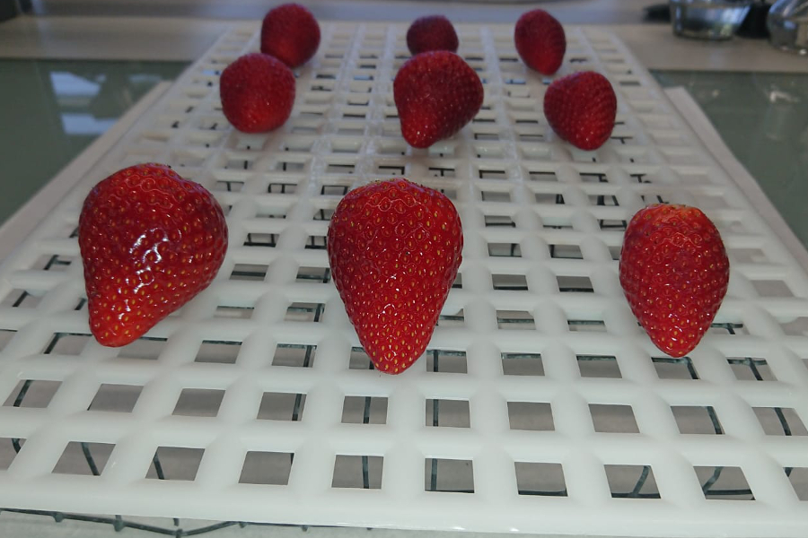 recerca maduixes recerca maduixes