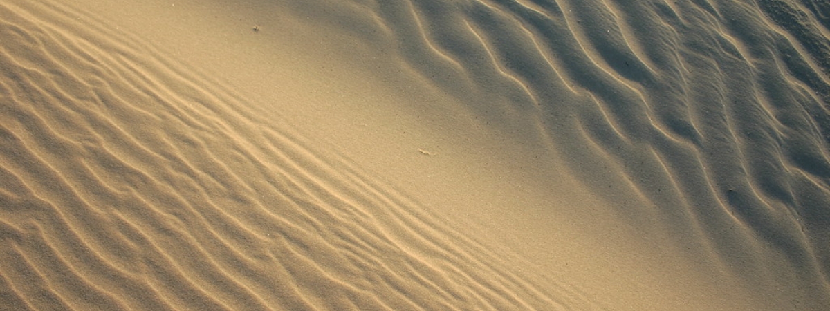 Comissió de Sostenibilitat i Emergència Climàtica