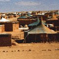 La UdL recull més 100 quilos de menjar per al poble sahraui