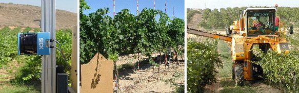 Tesi sobre viticultura a la Universitat de Lleida