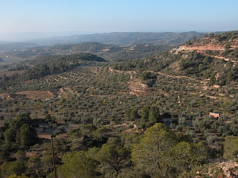 Observatori del Paisatge - Terres de Lleida - Unitat 11. Costers de l'Ebre