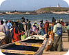 Impacte immigració al Senegal (UdL)