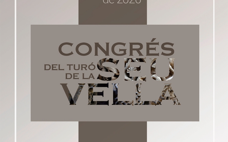Congrés del Turó de La Seu Vella: mirades interdisciplinàries del conjunt monumental