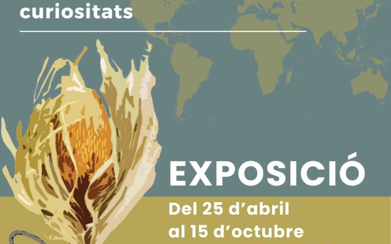 Exposició: Plantes d'aquí, d'allà i dels antípodes
