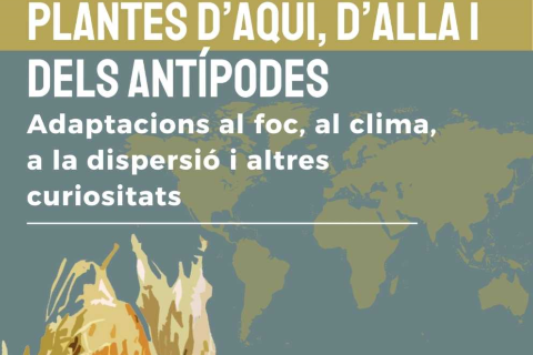 Exposició: Plantes d'aquí, d'allà i dels antípodes