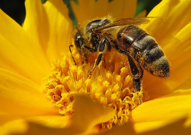 abella-foto-Andreas