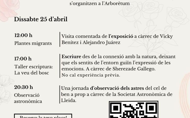 Observació astronòmica