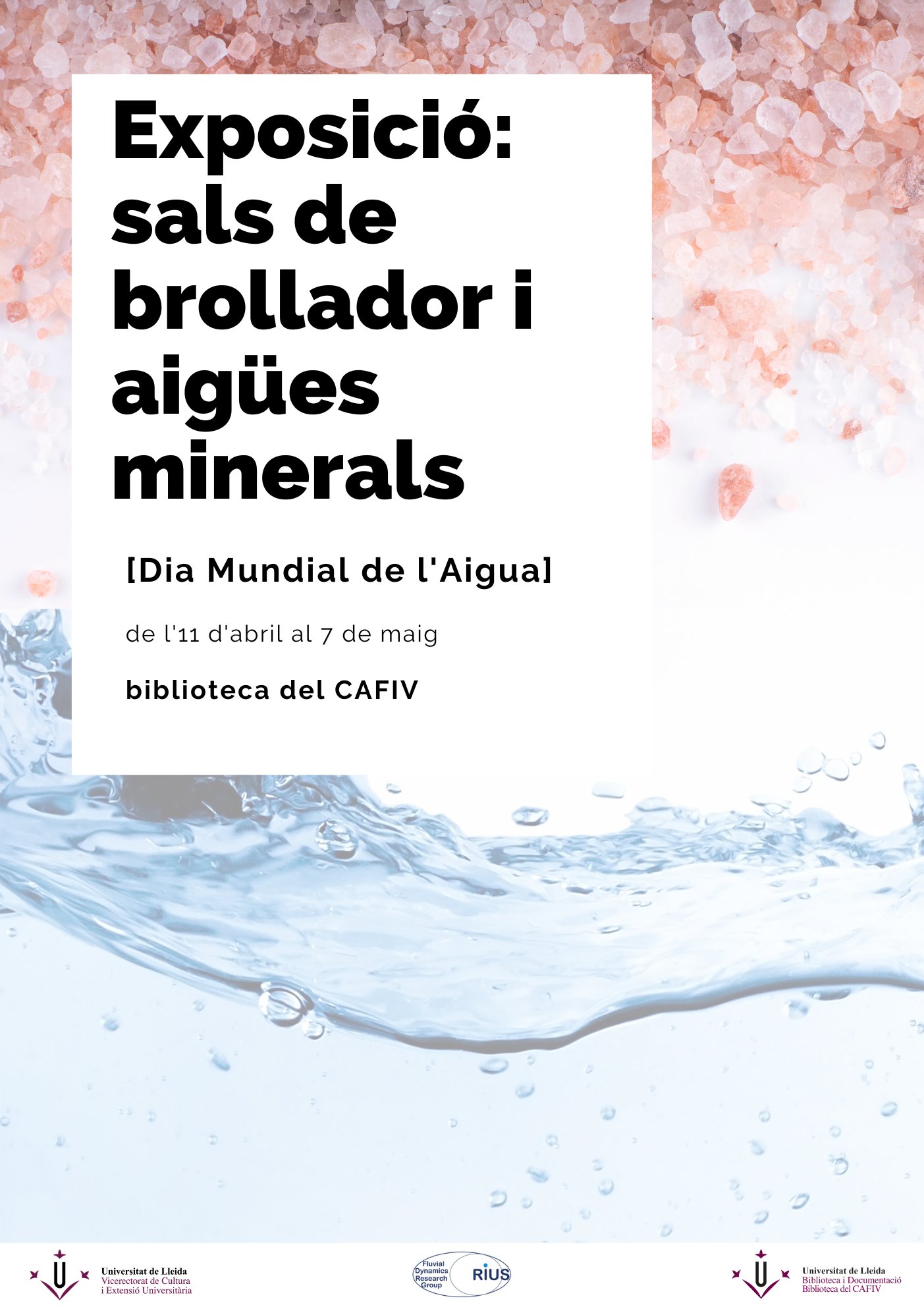 Exposició: Sals de brolladors i aigües minerals