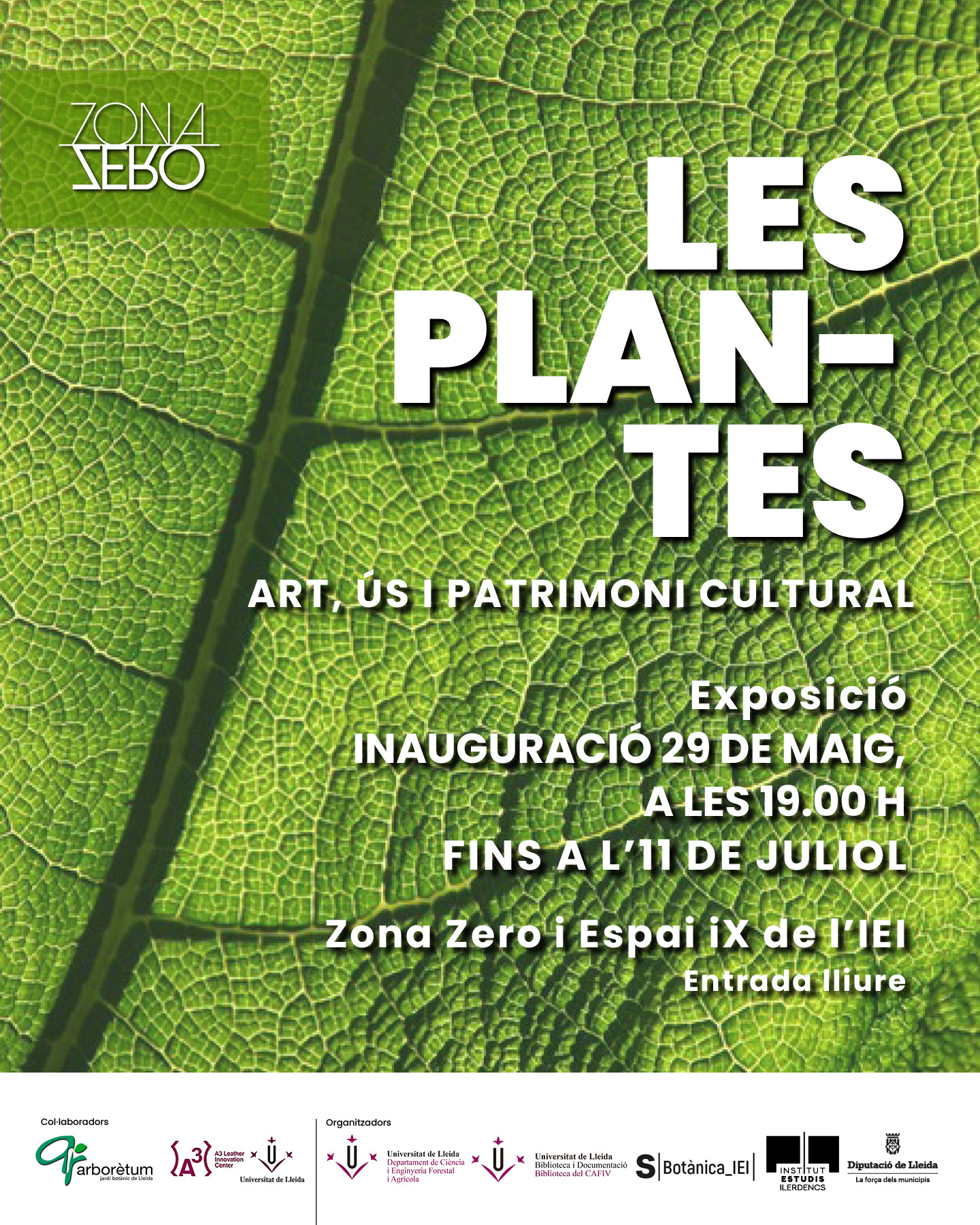 Exposició Les plantes: art, ús i patrimoni cultura