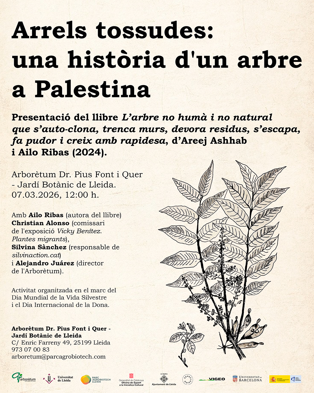 Arrels tossudes: una història d'un arbre a Palestina