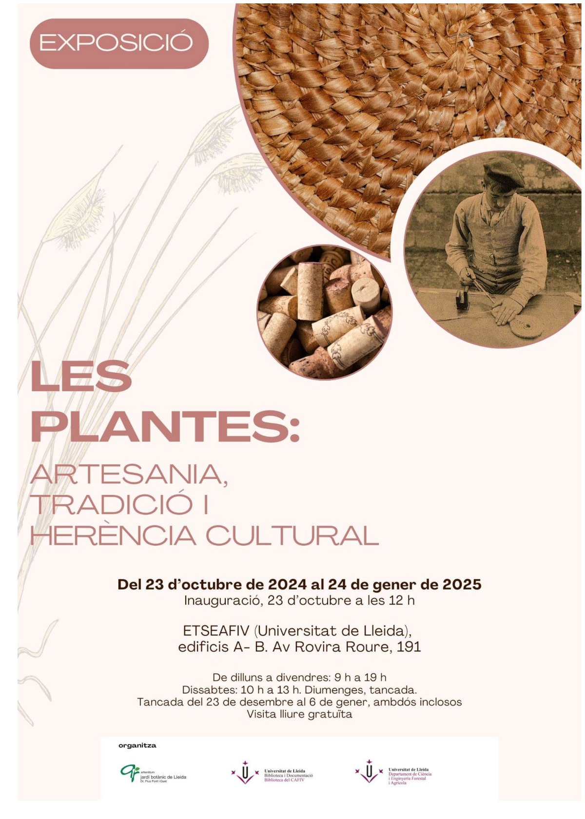 Exposició: Les plantes: artesania, tradició i herència cultural