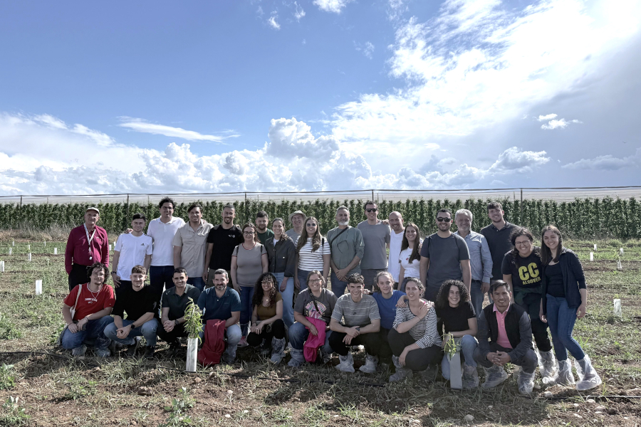 curs estiu males herbes 2026