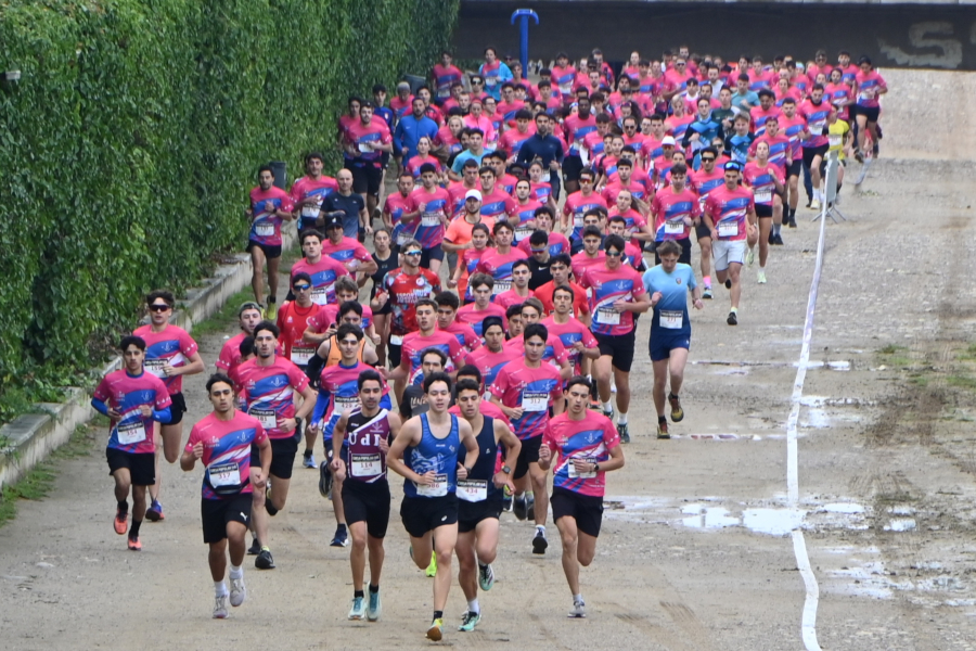 cursa 725 anys cursa 725 anys