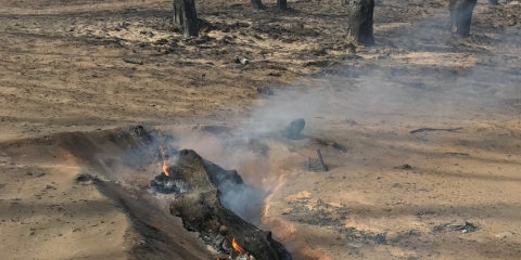 incendi_Paulo Fernandes_port