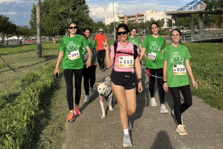 mascotes veterinaria