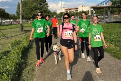 mascotes veterinaria