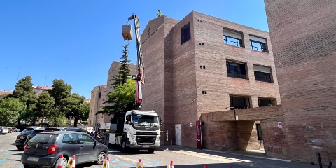 obres rectorat_grua2_port
