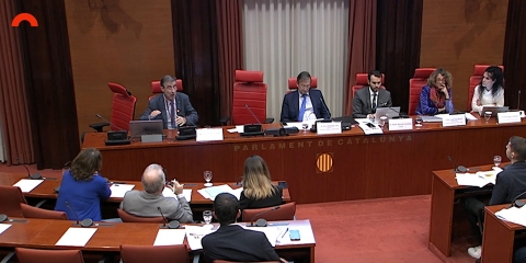 rector parlament_port