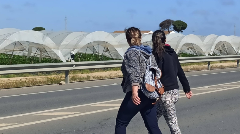 treballadores agricoles_briones